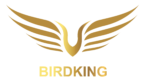 birdking logo in png 03.06.2k23